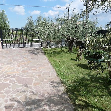B&B Villino Lory Marino Buitenkant foto