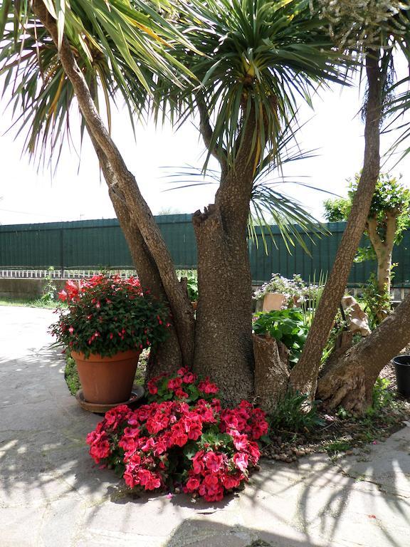 B&B Villino Lory Marino Buitenkant foto