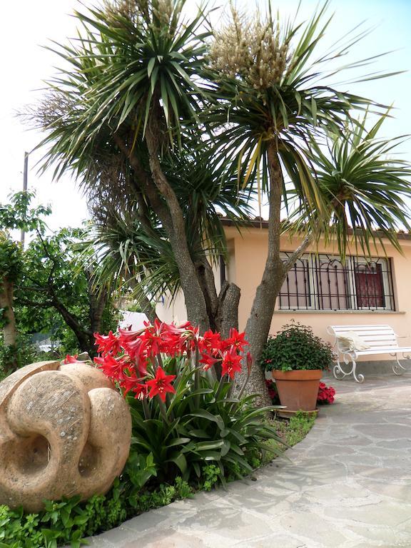 B&B Villino Lory Marino Kamer foto