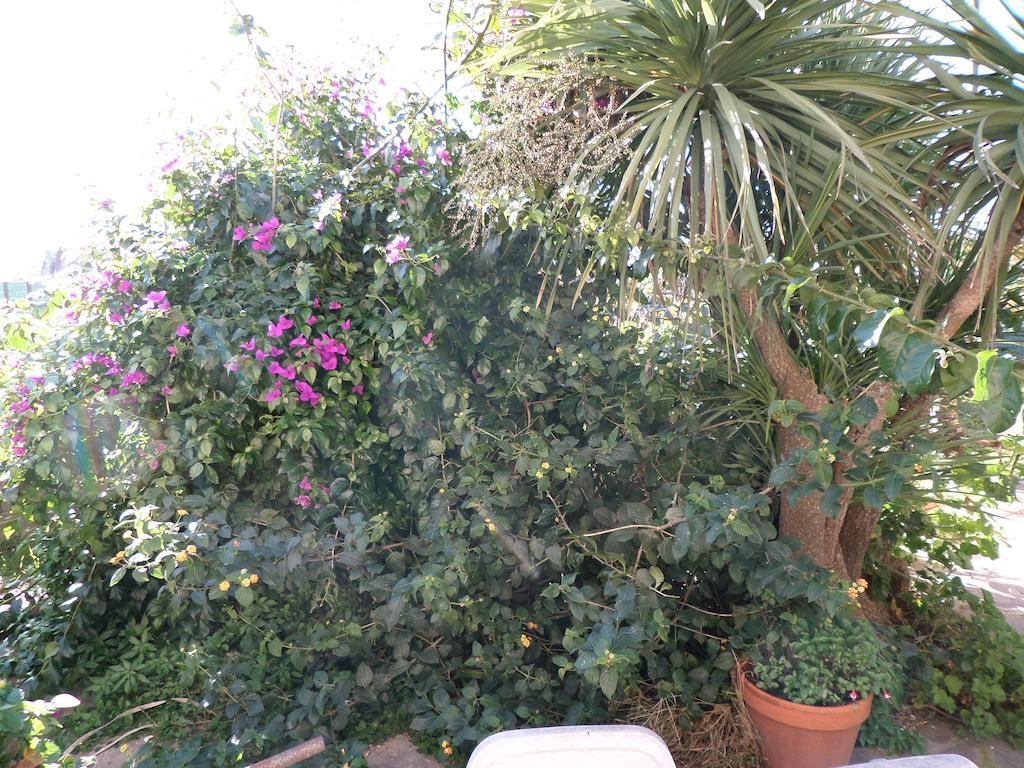 B&B Villino Lory Marino Buitenkant foto