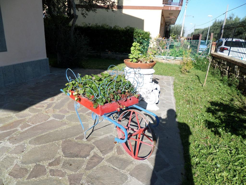 B&B Villino Lory Marino Buitenkant foto